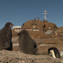 Остров Буромского. Согревшие Антарктиду